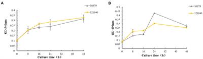 Biofilm formation of two genetically diverse Staphylococcus aureus isolates under beta-lactam antibiotics